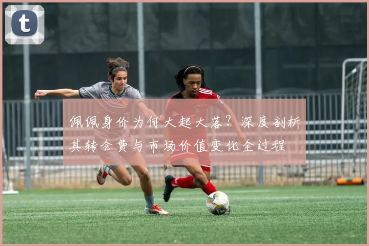 佩佩身价为何大起大落?深度剖析其转会费与市场价值变化全过程