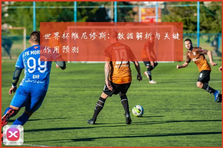 世界杯维尼修斯:数据解析与关键作用预测