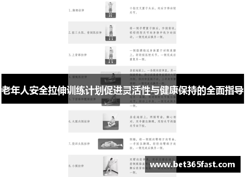 老年人安全拉伸训练计划促进灵活性与健康保持的全面指导